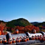 Osaka: Katsuo-ji Temple with Hundreds of Daruma Figures - Who Should Consider This Tour