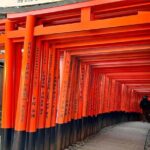 Osaka Kiyomizudera Fushimi Shrine and Nara Deer Sightseeing Trip - Final Thoughts