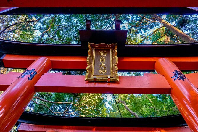 Osaka/Kyoto: Arashiyama, Fushimi Inari & Nara Park Day Trip - The Guided Experience and Group Dynamics