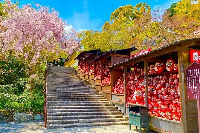 Osaka / Kyoto: Katsuoji, Arashiyama & Kinkaku-ji One Day Tour - Who Will Love This Tour?