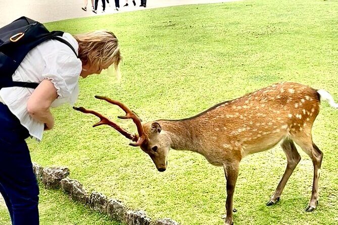 Osaka Kyoto Nara Private Transport with English Driver - Exploring the Experience in Detail