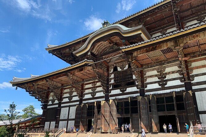 Osaka / Kyoto: Todai-ji, Nara Park, Fushimi Inari and Byodo-in - A Deep Dive into the Tour Experience