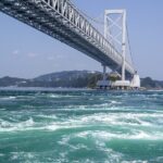 Osaka: Naruto Whirlpool & Awa Odori Kaikan 1Day Tour - An In-Depth Look at the Tour Experience