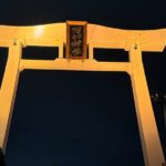 Osaka Night Shrine Tour - Who Will Love This Tour?