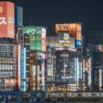 Osaka Nightlife Adventure: Bar Hopping, Shopping and Sightseeing - A Detailed Look at What the Tour Offers
