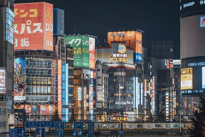 Osaka Nightlife Adventure: Bar Hopping, Shopping and Sightseeing - A Detailed Look at What the Tour Offers