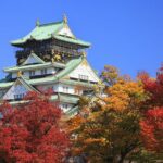 Osaka: Osaka Castle & Dotonbori Private Tour From Osaka Port - The Value of a Private, Customizable Tour