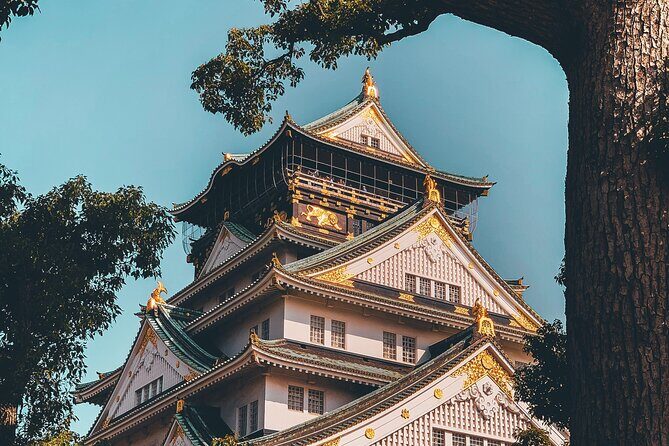 Osaka Private Car Day Trip with Hotel Pickup & English Driver - Final Thoughts