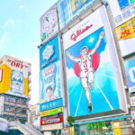 Osaka Private Custom Walking Tour - Who Is This Tour Best Suited For?