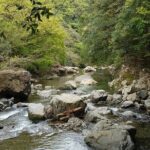Osaka River Rapids Hike and Natural Hot Spring tour - Authenticity and Value