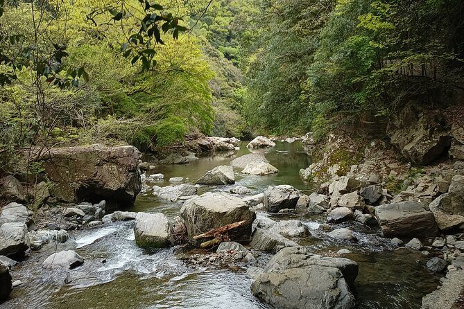 Osaka River Rapids Hike and Natural Hot Spring tour - Authenticity and Value