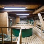 Osaka Sake Brewery Tour and Tasting - Final Thoughts