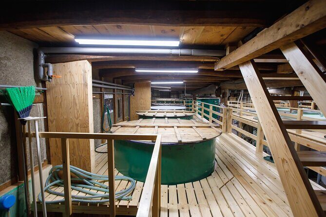 Osaka Sake Brewery Tour and Tasting - Final Thoughts