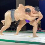 Osaka: Sumo Show and Kimono Haori Experience - Who Should Consider This Tour?