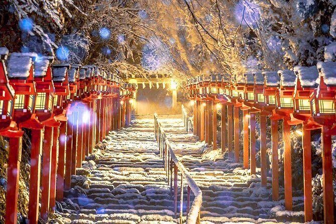 Osaka to Kyoto Arashiyama Bamboo Grove Small Group Tour - A Deep Dive into the Experience: What to Expect