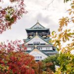 Osaka Unveiled: A Self-Guided Journey Through Japan's Kitchen - Value and Practical Considerations
