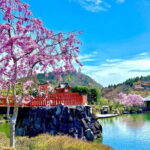 Osaka's Secret Adventures: Daruma Magic and Minoh Falls - Who Will Love This Tour?