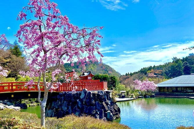 Osaka's Secret Adventures: Daruma Magic and Minoh Falls - Who Will Love This Tour?