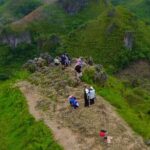 Oslob Whale Shark Snorkeling & Tumalog Falls with Osmeña Peak - Who Should Take This Tour?