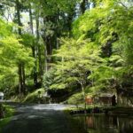Otsu: Ishiyama-dera Sacred Stone Temple by Lake Biwa - The Sum Up: Is This Tour Right for You?