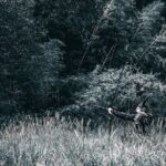 Outdoor Samurai Armor Experience in Kyoto Arashiyama - The Sum Up