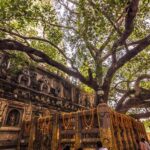 OVERNIGHT BODHGAYA TOUR WITH DUNGESHWARI CAVE - A Detailed Look at the Bodhgaya Overnight Tour