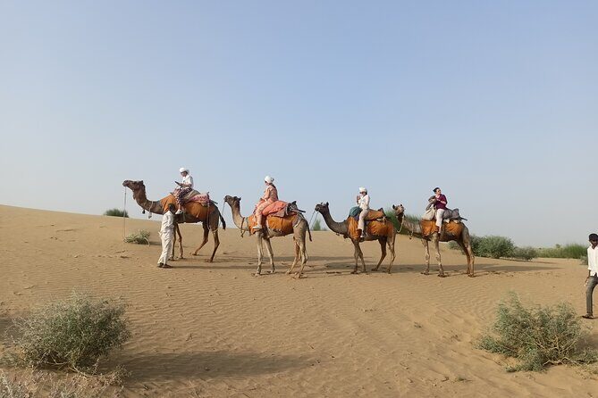 Overnight Camel Safari - Authenticity and Cultural Significance