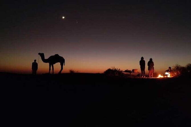 Overnight Camel Safari - Key Points