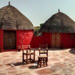 Overnight Desert Stay with Camel Safari and Homemade Food - OM - The Perfect Match for This Tour