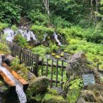 [Oysters in Suto] Let's go to Cape Kamui, Oyster Hut and Fukidashi Park by private car!To/from Sapporo - What Makes This Tour Stand Out?