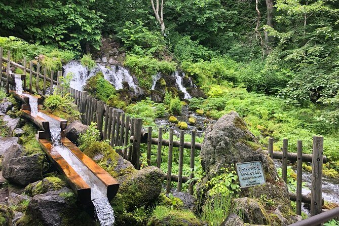 [Oysters in Suto] Let's go to Cape Kamui, Oyster Hut and Fukidashi Park by private car!To/from Sapporo - What Makes This Tour Stand Out?