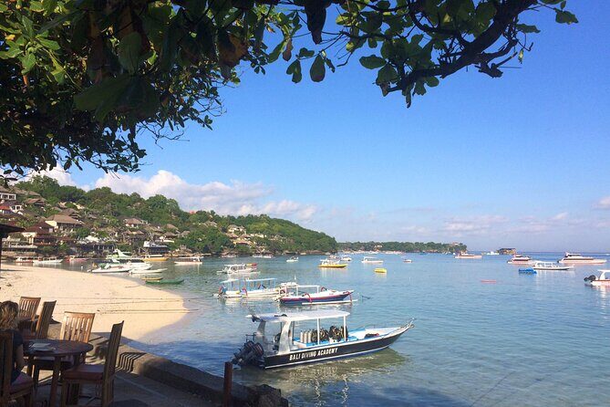 PADI Open water Course in Lembongan - Get certified & dive anywhere in the world - Potential Considerations