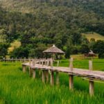 Pai: Bamboo Bridge, Yun Lai Viewpoint, & Waterfall Tour - Who Would Enjoy This Tour?