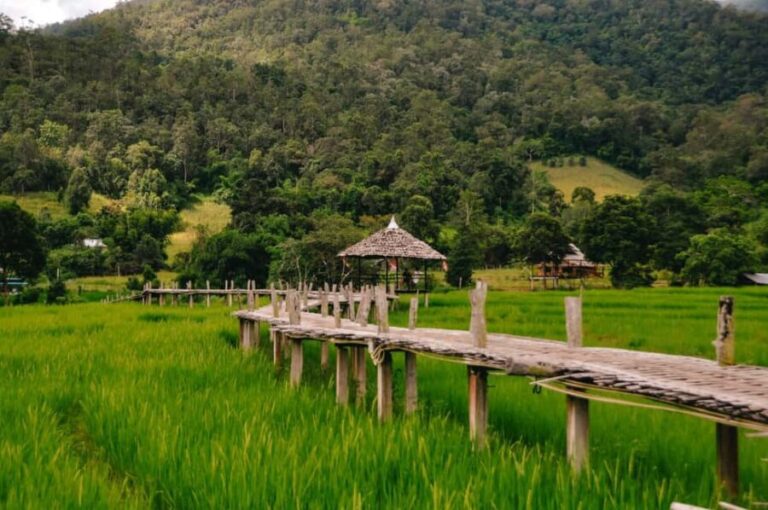 Pai: Bamboo Bridge, Yun Lai Viewpoint, & Waterfall Tour - Who Would Enjoy This Tour?
