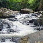 Pala U Waterfall in Kaeng Krachan Jungle with Private Guide from Hua Hin - Who Will Love This Tour?