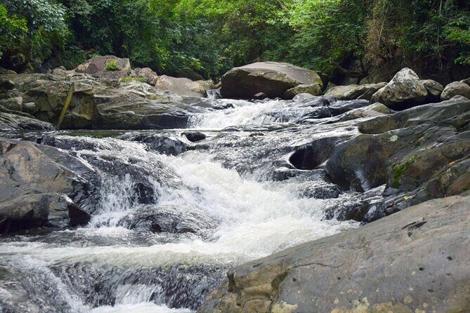 Pala U Waterfall in Kaeng Krachan Jungle with Private Guide from Hua Hin - Who Will Love This Tour?