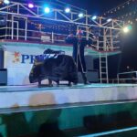 Panaji: Dinner Cruise with Drinks and Live Entertainment - Practical Details and Tips