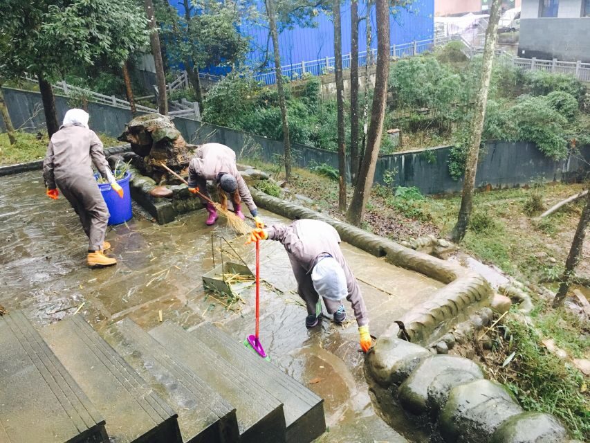 Panda Volunteer Project Day Trip(Wolong/Du Jiang Yan) - A Deep Dive into the Panda Volunteer Experience