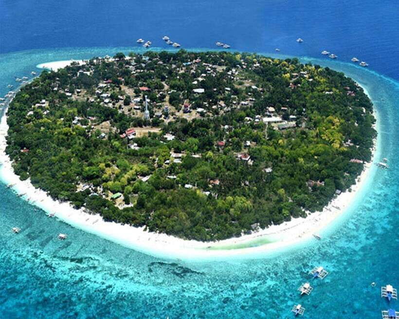 Panglao Bohol: Balicasag Island Hopping & Dolphin Watching - The Itinerary in Detail