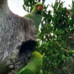 Paradise Bundala Safari Tours - Pricing and Value Analysis