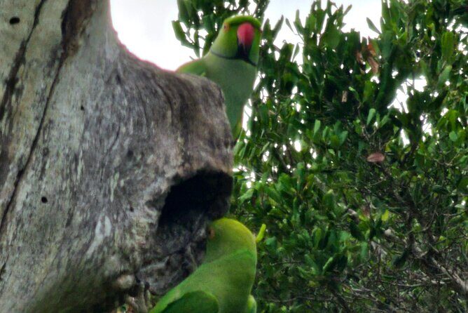 Paradise Bundala Safari Tours - Pricing and Value Analysis