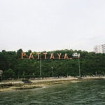 Pattaya Discovery Tour with Floating Market - Who Will This Tour Suit Best?