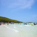 Pattaya Island Trip with Indian Lunch & Flexible Pickup Time - Why We Think This Tour Works