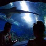 Pattaya Underwater World - Discover Ocean Treasures - FAQ