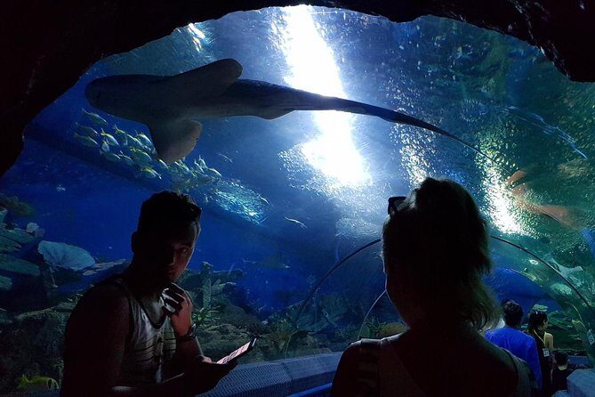 Pattaya Underwater World - Discover Ocean Treasures - FAQ