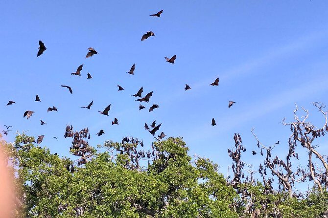 Pauls Flores Tour Labuan Bajo to Ende Flores Land Tour inland by Car 6 Days - Frequently Asked Questions