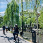 Pedal Adventure Kyoto's iconic landmarks on an e-bike tour - What Makes This Tour Stand Out?