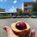 Penang: Balik Pulau Culture Experience & Village Tour - Exploring Balik Pulau