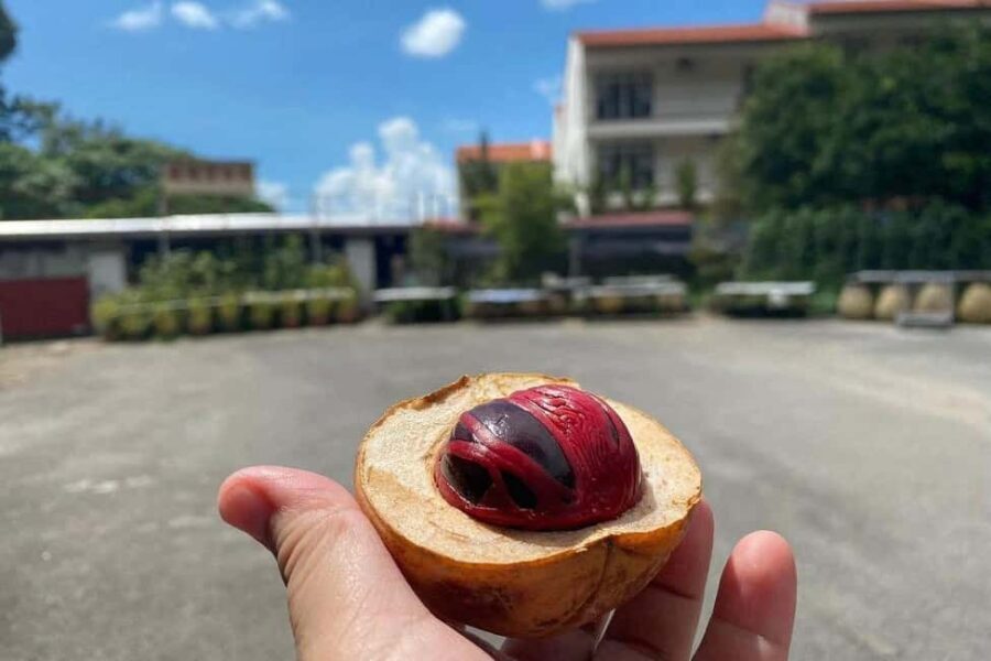 Penang: Balik Pulau Culture Experience & Village Tour - Exploring Balik Pulau