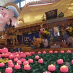 Penang: George Town Highlights & Upside Down Museum Tour - The Upside Down Museum: A Topsy-Turvy World